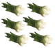 Dollhouse City - Dollhouse Miniatures Onions - Green