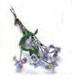 Iris Stems - Blue