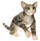 Dollhouse City - Dollhouse Miniatures Grabbing Cat - Gray
