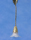 Hanging Lamp - Frosted Flower