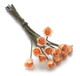 Roses - Peach