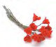 Roses - Red