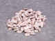 Brown Fieldstone - Veneer