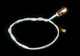 16 Volt GOW Bulb - Black Wires