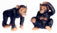 Dollhouse City - Dollhouse Miniatures Two Chimpanzee