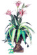 Lily Arrangement - Pink