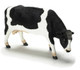 Dollhouse City - Dollhouse Miniatures Bull - Black