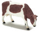 Dollhouse City - Dollhouse Miniatures Bull - Brown