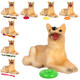 Dog with Toy