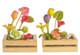 Hand Made Flower Boxes