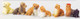 Poly Dogs Assorted
