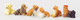 Poly Dogs Assorted