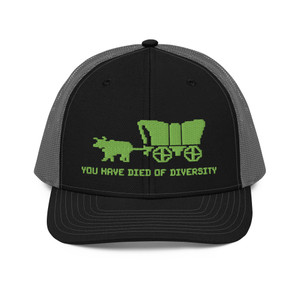You Have Died of Diversity Richardson 112 Trucker Cap You Have Died of Diversity Richardson 112 Trucker Cap