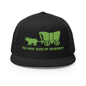 You Have Died of Diversity Trucker Cap You Have Died of Diversity Trucker Cap
