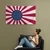 Japan Rising Sun American Flag