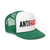 AntiFaucist Anthony Fauci Tony  Trucker Caps