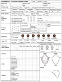 Custom Order Form Download