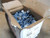 Minerallac (HD270) 1-1/4" Rigid 2 Hole Pipe Strap, Box of 100, New Surplus