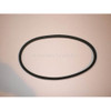 Order WESTERBEKE 31152  Belt 31.3 X A