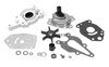 Order MERCURY 42089A 5 Pump Kit, Water