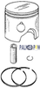Order GLM PRODS _ 23790 _ PISTON KIT