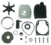 Order SIERRA 18-3389 Water Pump Kit Replaces 0432955