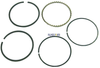 Order SIERRA 18-3942 Piston Rings