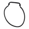 SIERRA 18-99146 Float Chamber Gasket