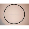 Order WESTERBEKE 22030 Belt 50.0 X O