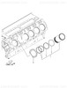 Order YANMAR 24316-000530 O-Ring, 4Dp53.0