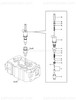 Order YANMAR 139684-53450 Cap, Screw