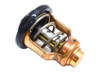 Order YAMAHA 6DA-12411-01-00  Outboard Thermostat