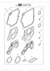 Order YANMAR 177414-02061 Gasket, Mounting