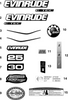 EVINRUDE-JOHNSON 215870 Evinrude 100Th Anniversary | Included With Engine Cover Assy"