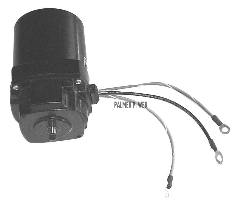 MERCURY 891736T Motor Assembly Complete | PalmerPower