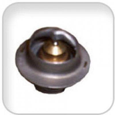 Order WESTERBEKE 39378  Thermostat 160F 4.5-9.6 Bcgt
