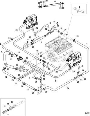 Order MERCURY _ 8M2013565 _ Hose, Tee Fitting To Thermostat Housing
