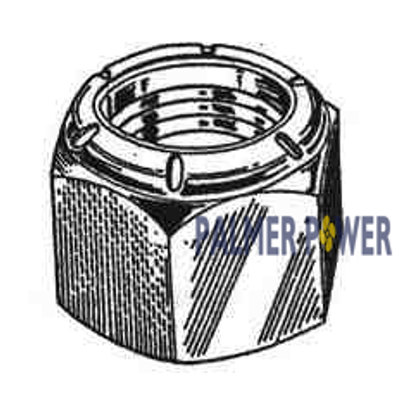 Order GLM PRODS _ 21162 _ NUT