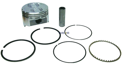 Order SIERRA 18-4173 Piston Kit