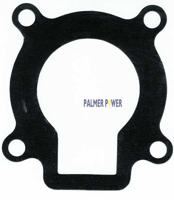 Order SIERRA 18-0459 Water Pump Gasket