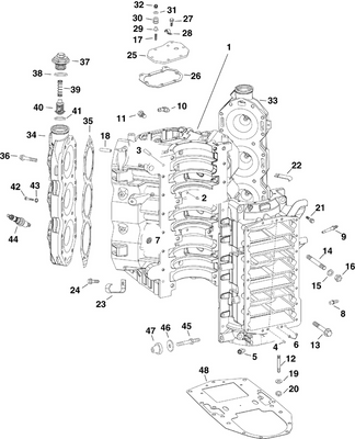 EVINRUDE-JOHNSON 335200 SCREW C=4