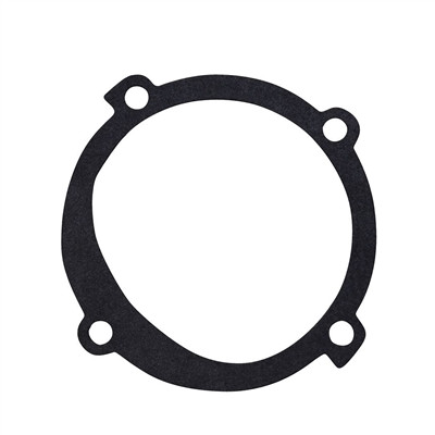 PLEASURECRAFT RM0125 Raw Water Pump Gasket