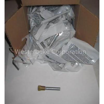 Order WESTERBEKE 35300 Zinc 50 Pack 11885