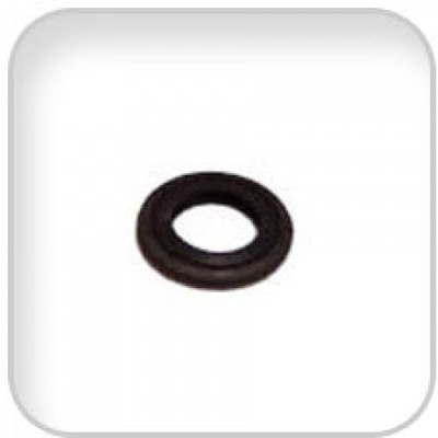 Order WESTERBEKE 30289 Washer, Banjo M 8