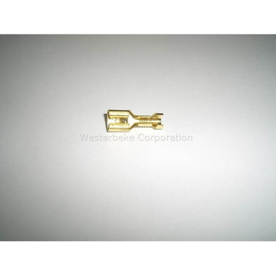 Order WESTERBEKE 37835 Terminal, Relay Socket 37834