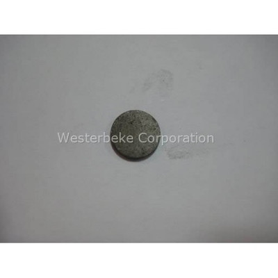 Order WESTERBEKE 33441 Shim, Injector 1.65 Order WESTERBEKE 33441 Shim, Injector 1.65