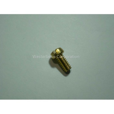 Order WESTERBEKE 18151 Screw 1/4Ncx1/2 Brass Fillistr