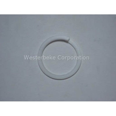 Order WESTERBEKE 15617 Ring, Pump 11621
