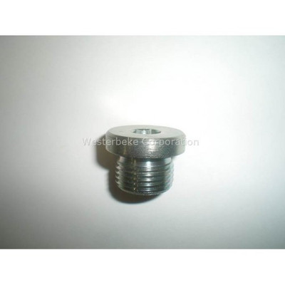 Order WESTERBEKE 42663 Plug M18X1.5 Soc Hd W/Seal Stl