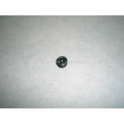 Order WESTERBEKE 33624 Plug